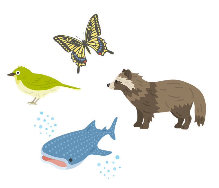 カット：動物のイメージ