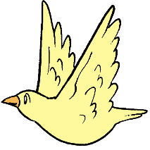 白い鳥