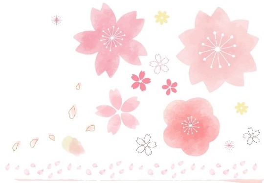 カット：花のイメージ