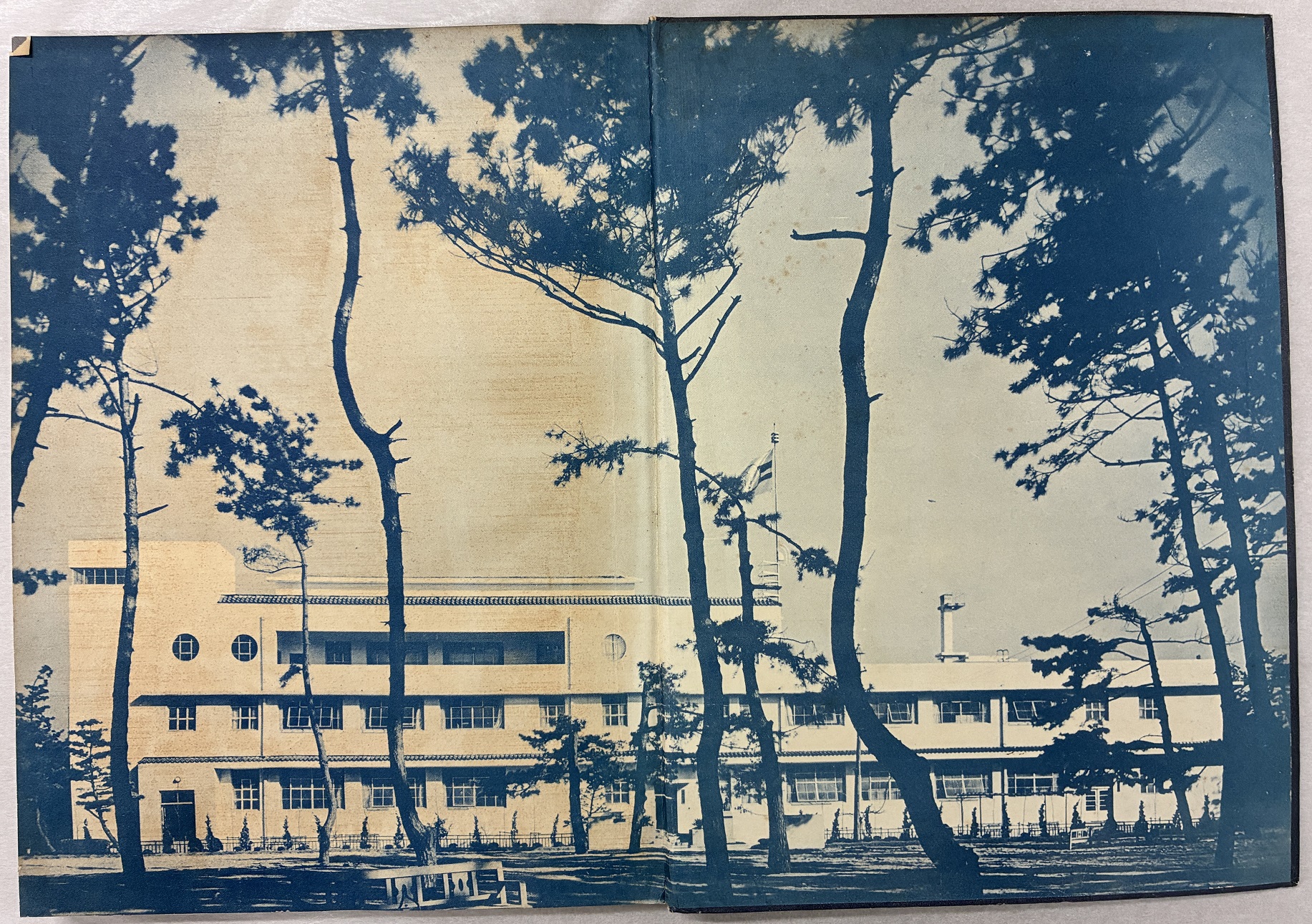 写真：農業博物館外観