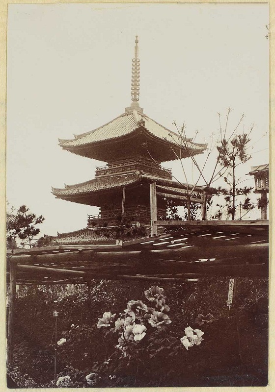 1902年頃の写真