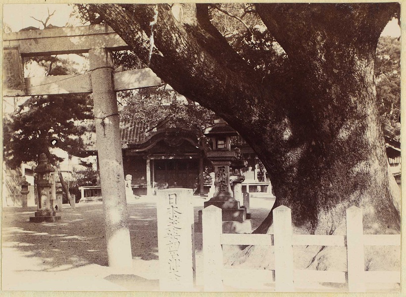 1902年頃の写真