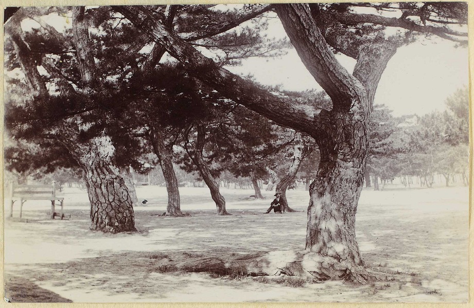 1902年頃の写真