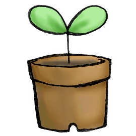 カット：植木鉢から出た芽