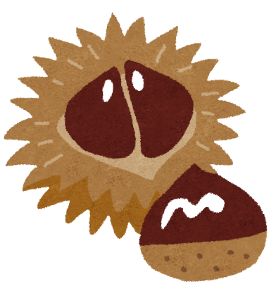 カット：栗のイメージ