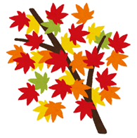 カット：紅葉の枝のイメージ